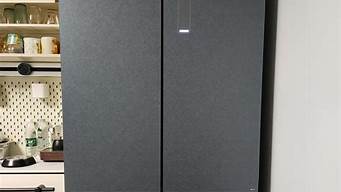 美的冰箱最新款_美的冰箱最新款是哪个型号